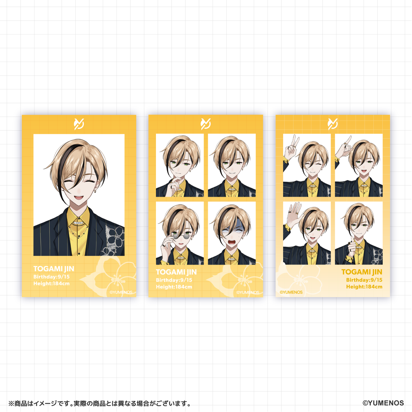 【期間限定】証明写真風カードセット(ランダム封入)